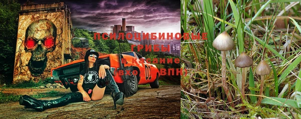 марки lsd Беломорск