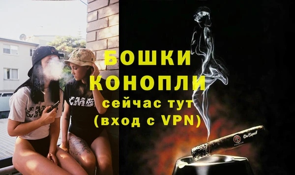 2c-b Белокуриха