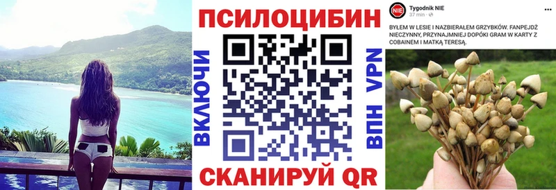 Псилоцибиновые грибы ЛСД  Купить  Ладушкин 